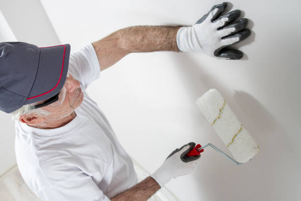 Best Trim and Molding Painting  in Gibsonton, FL