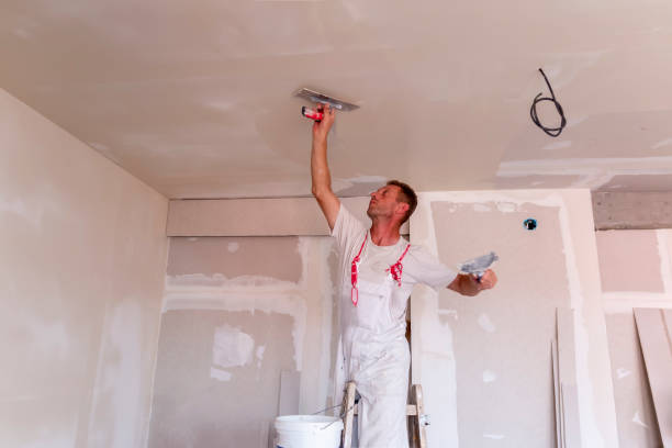 Best Drywall Texturing  in Gibsonton, FL